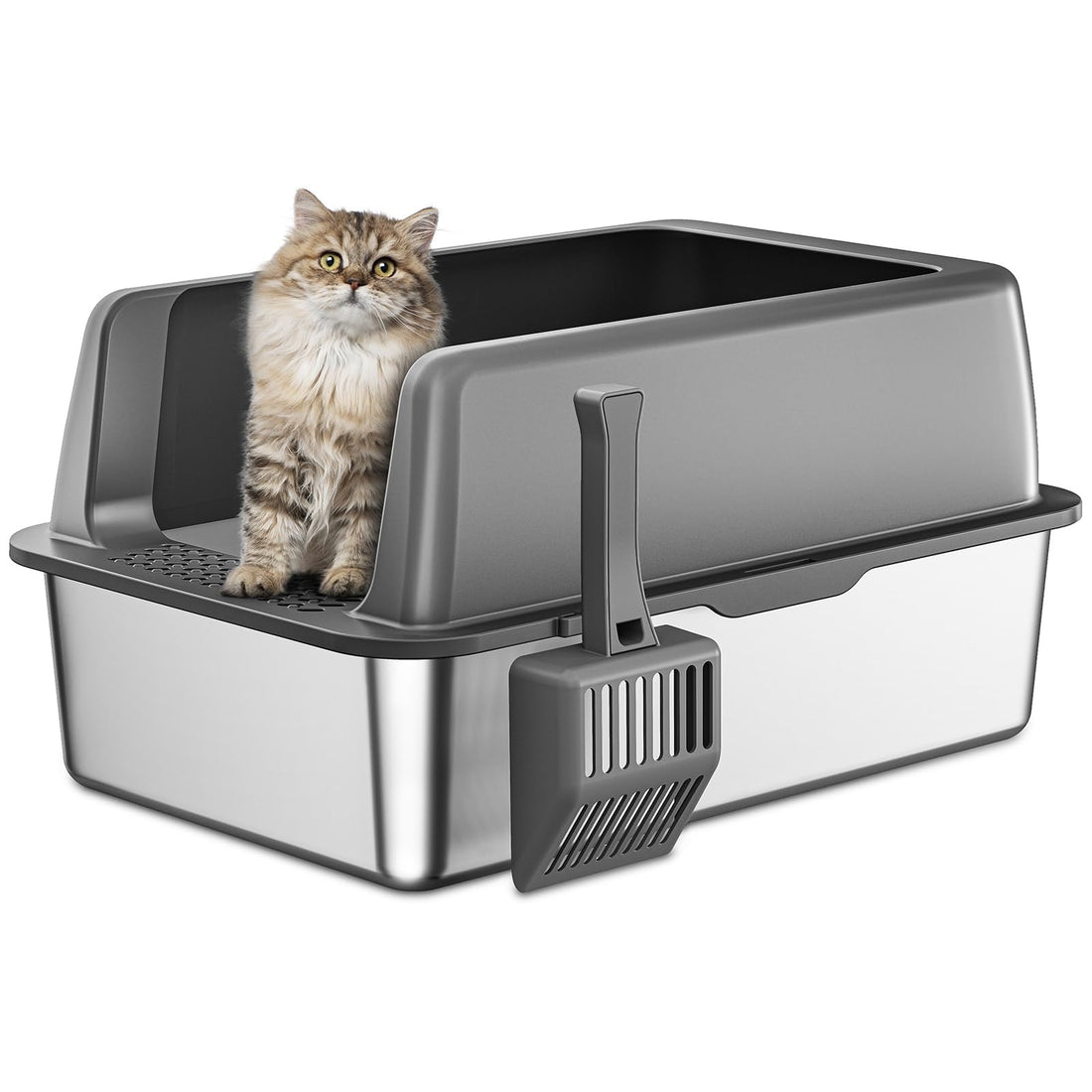 Stainless steel cat litter box with lid
