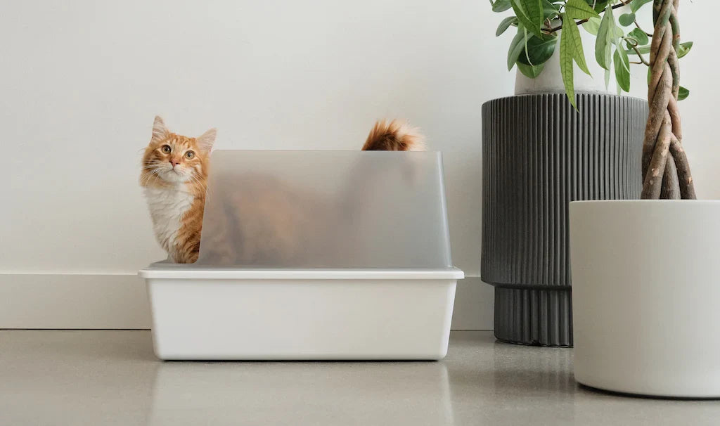 Stainless steel cat litter box with Hood