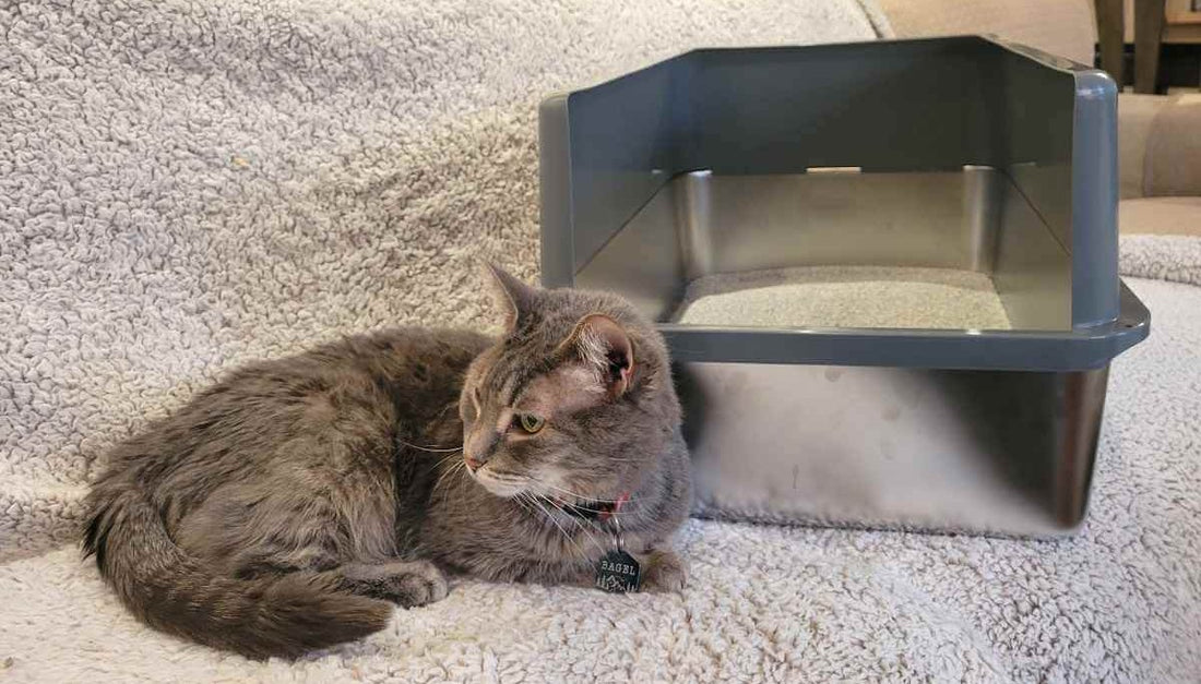 stainless steel cat litter box with high sides